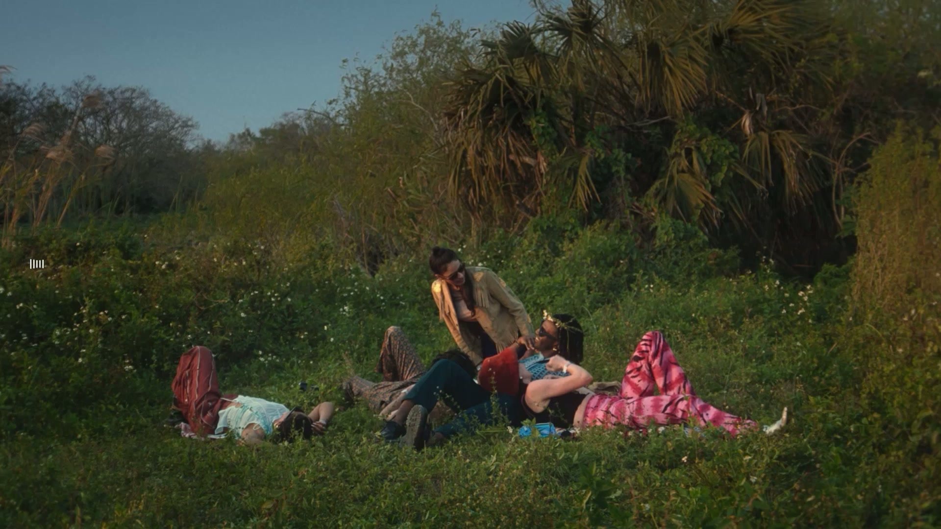 Meta Wearables Category